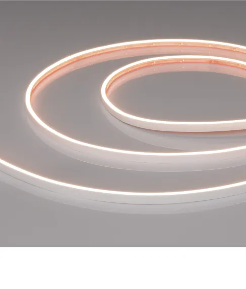 Фото #3 товара M240 IP65 24V 2.5mm