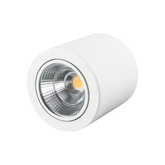 Фото #4 товара Светильник SP-FOCUS-R140-30W Day White (Arlight, IP20 Металл, 3 года)