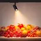 Минифото #3 товара Светильник LGD-GERA-4TR-R90-30W Warm SP3000-Fruit (WH, 24 deg, 230V) (Arlight, IP20 Металл, 3 года)