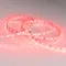 Минифото #2 товара Светодиодная лента RT 2-5000 24V Red 2x (5060, 300 LED, LUX) (Arlight, 14.4 Вт/м, IP20)