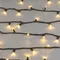 Минифото #2 товара Светодиодная гирлянда ARD-STRING-PRO-10000-GREEN-100LED-STD WARM (230V, 7W) (Ardecoled, IP65)