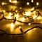 Минифото #1 товара Светодиодная гирлянда ARD-STRING-PRO-1000-GREEN-100LED-PULSE Warm (230V, 7W) (Ardecoled, IP65)